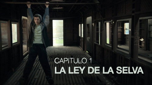 The law of the jungle