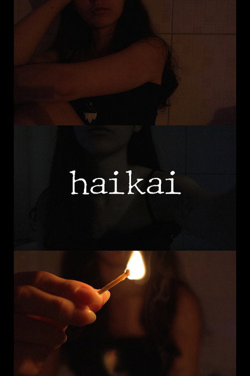 Haikai poster 3