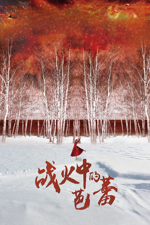 Ballet in the Flames of War poster 2