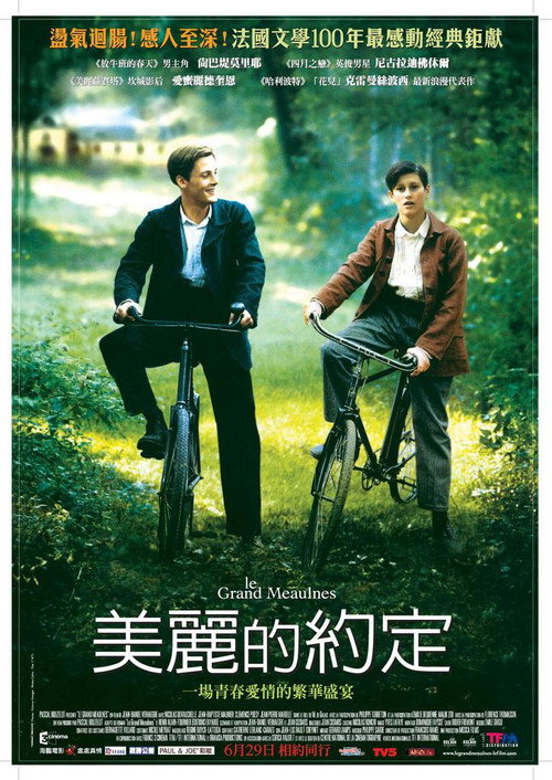 美丽的约定电影海报