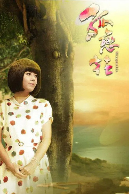 孤恋花电影海报