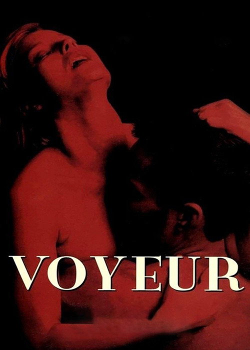 Voyeur poster 5