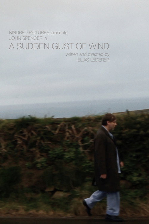 A Sudden Gust of Wind's poster