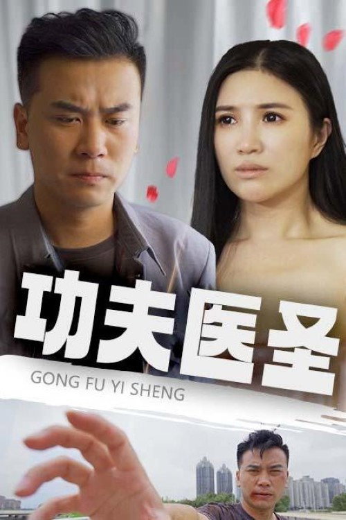 功夫医圣电影海报