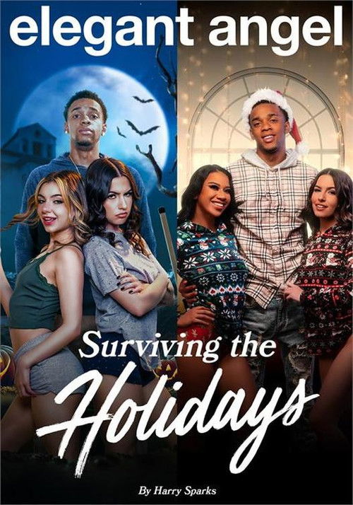 Surviving The Holidays Poster