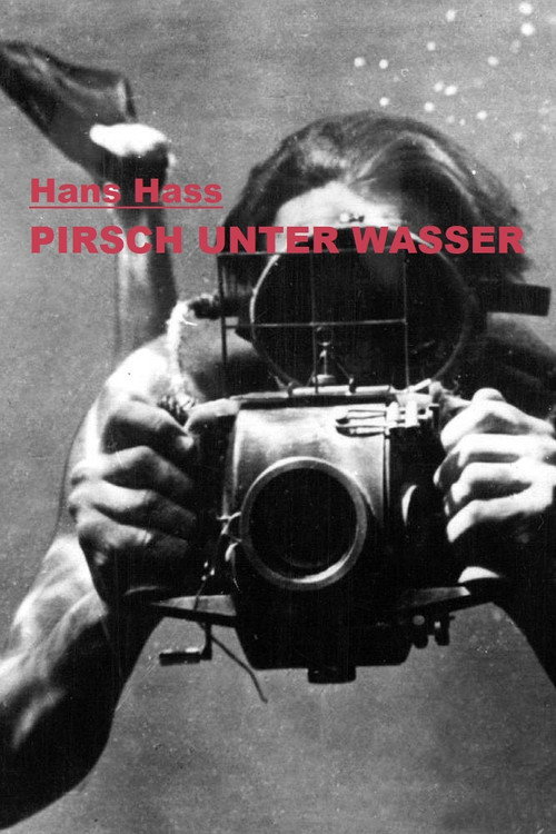 Pirsch unter Wasser poster 2