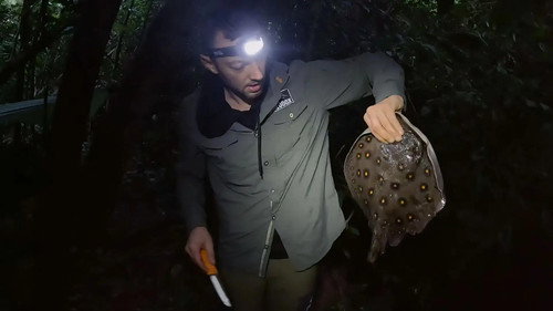 7 vs. Wild第5季第8集