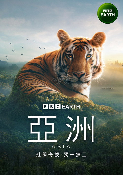 亚洲电影海报