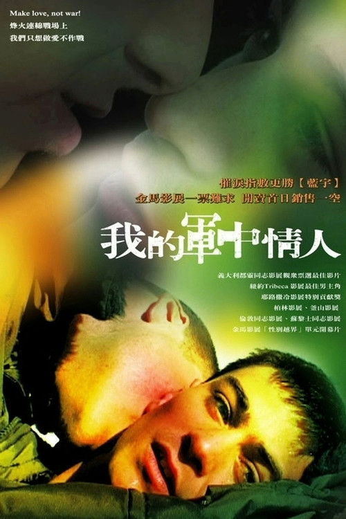 我的军中情人电影海报
