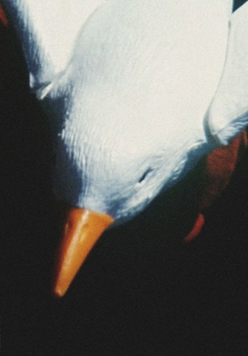 Ailes poster 2
