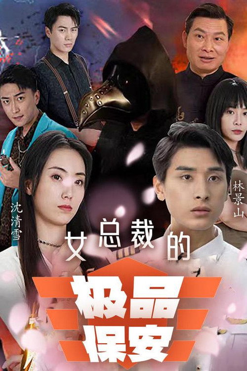女总裁的极品保安电影海报