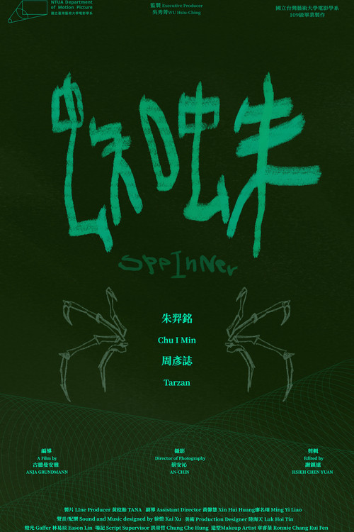 Spinner poster 2