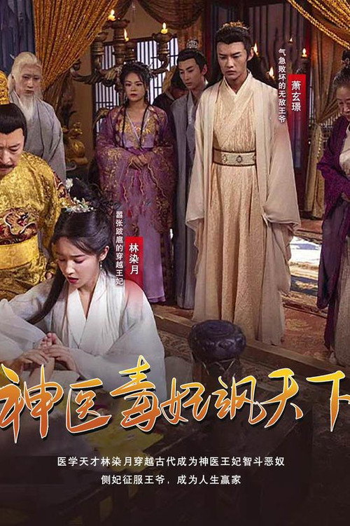 神医毒妃飒天下电影海报