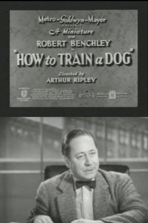 How to Train a Dog Poster