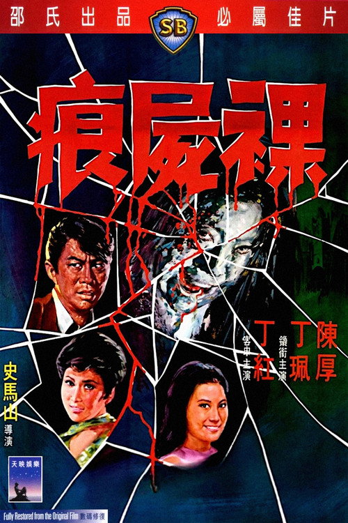 Dear Murderer poster 7