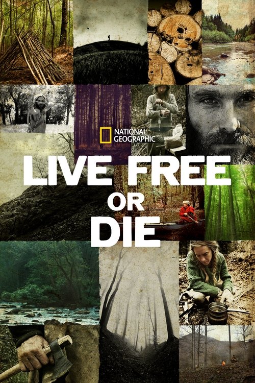 Poster of Live Free or Die