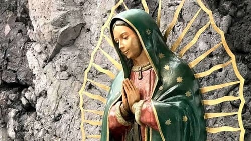 Nuestra Señora de Guadalupe 2020