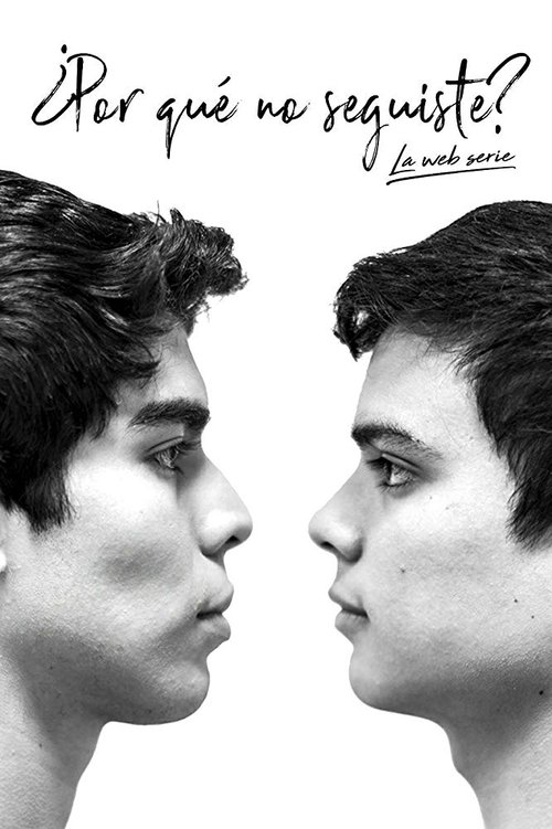 Poster of Why didn't you go on?