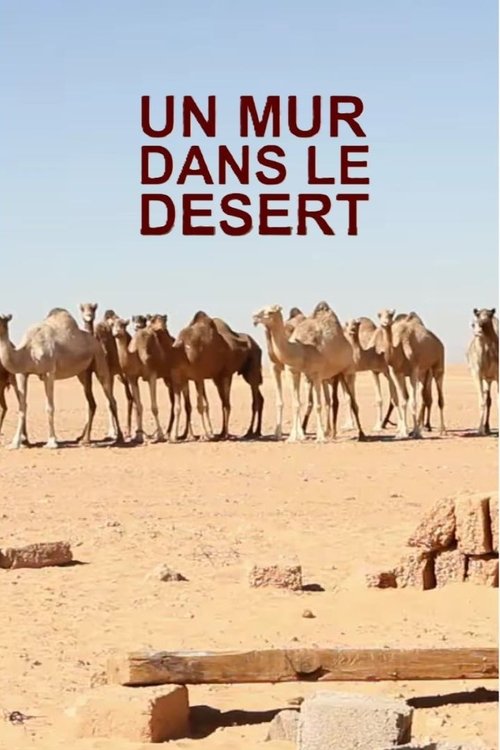 A wall in the desert