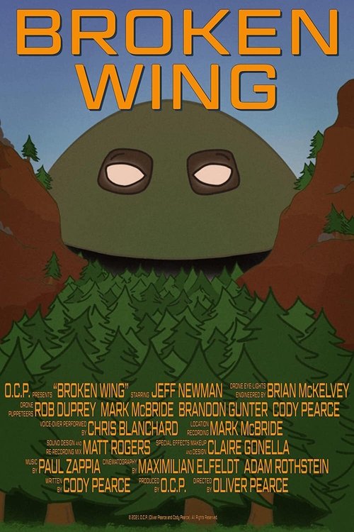 Broken Wing Poster
