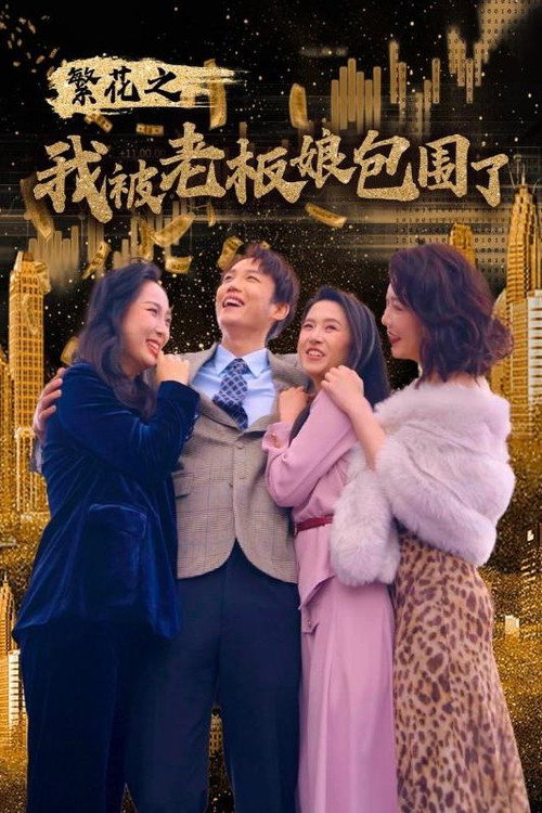 繁花之我被老板娘包围了电影海报