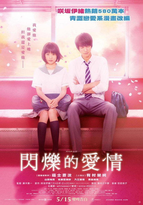 闪烁的爱情电影海报