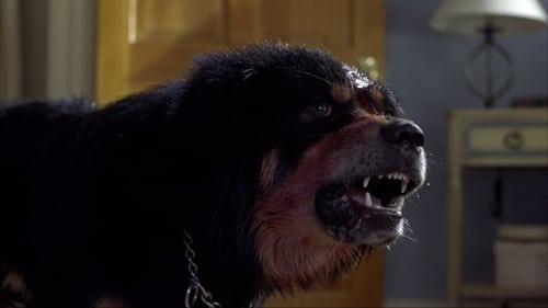 Man's Best Friend 1993 Film Online