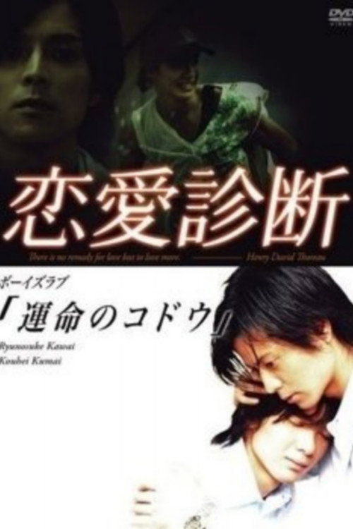 Love Diagnosis poster 4
