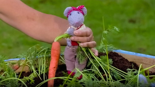 Show Me Show Me第5季第10集