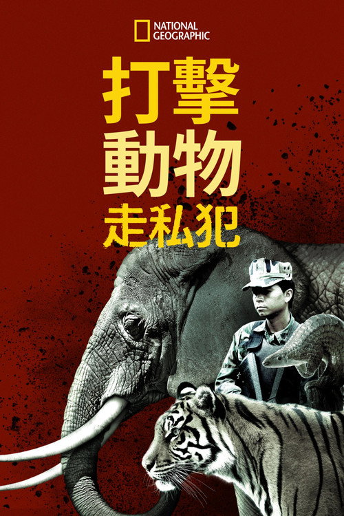 Crimes Against Nature电影海报