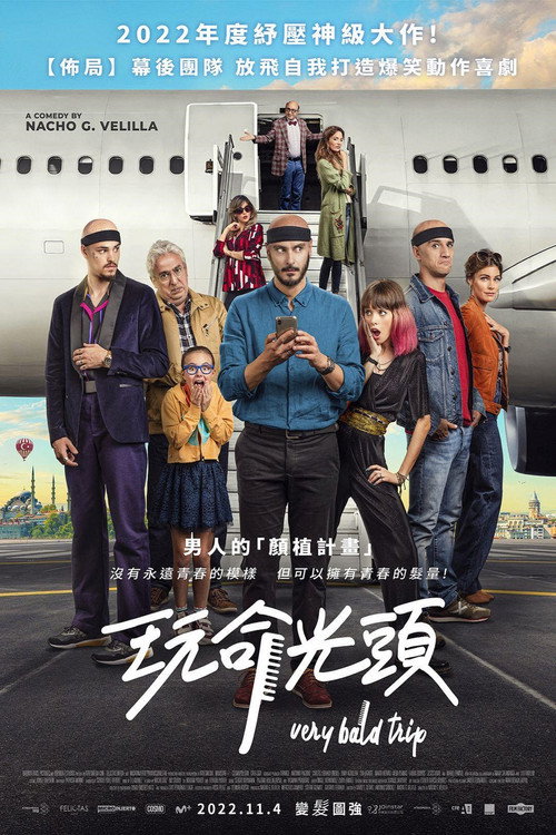 为了头发电影海报