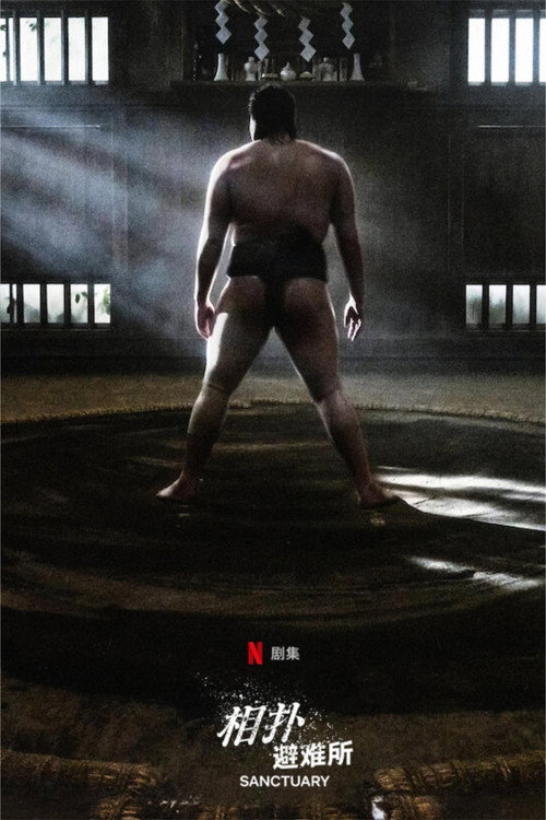 相扑避难所电影海报