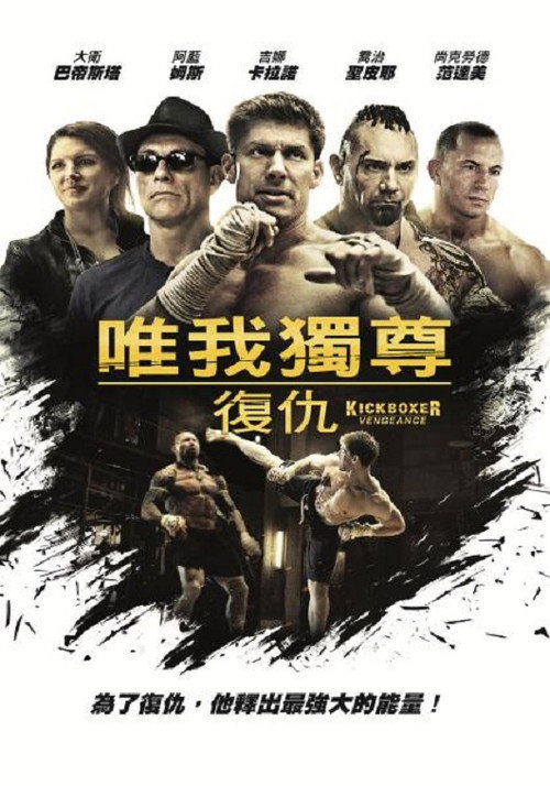 唯我独尊：复仇电影海报