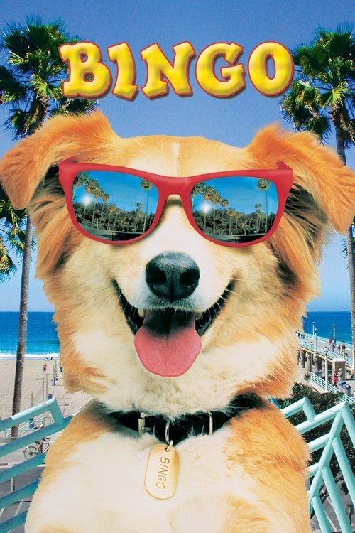 VER ! Bingo 1991 PELICULA COMPLETA ONLINE