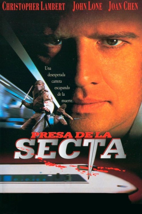 Poster of Perseguido