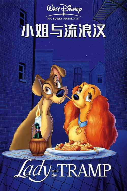 小姐与流浪汉电影海报