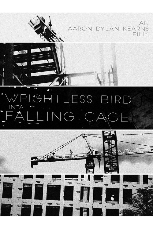 Weightless+Bird+In+A+Falling+Cage