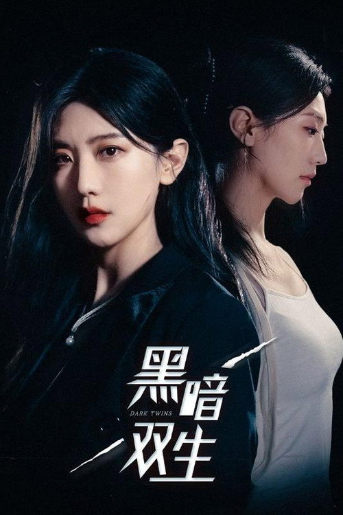 黑暗双生电影海报