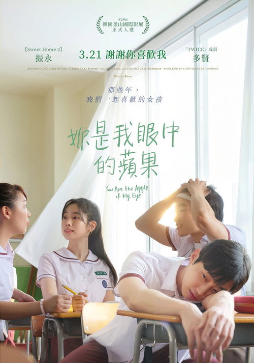 那些年，我们一起追的女孩电影海报