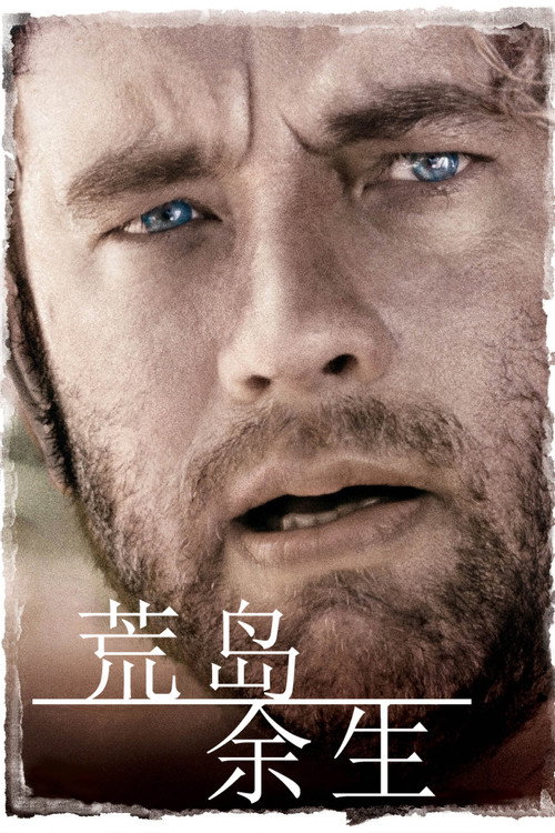 荒岛余生电影海报