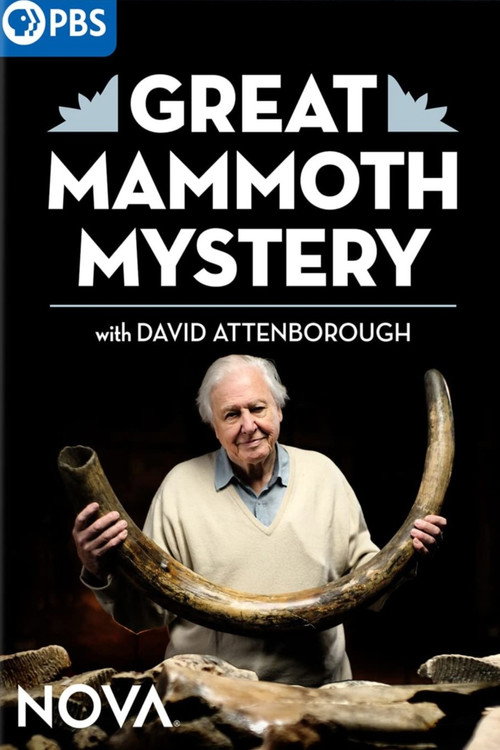 Great Mammoth Mystery Poster