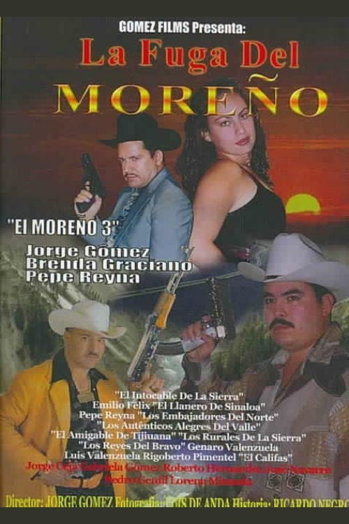 La fuga del more&ntilde;o电影海报