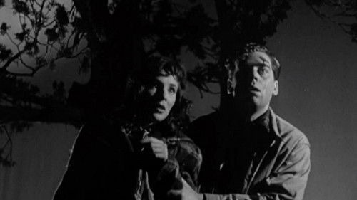 The Whip Hand (1951) PHIM ĐẦY ĐỦ [VIETSUB]