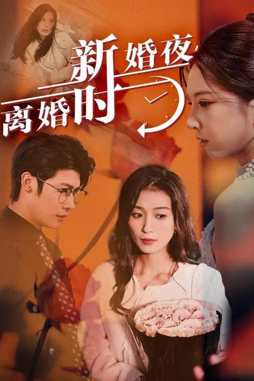 新婚夜，离婚时电影海报