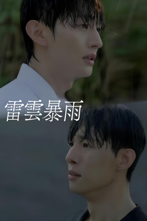 雷云暴雨电影海报