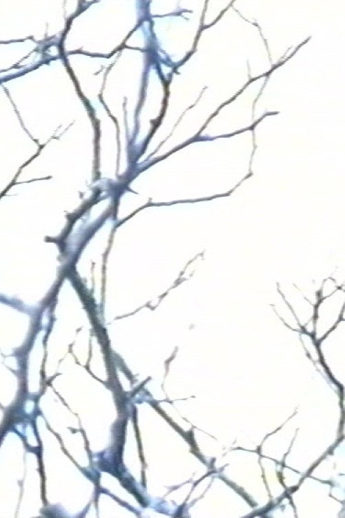 Stereo #0 - 30 drones for television - Drone 15电影海报