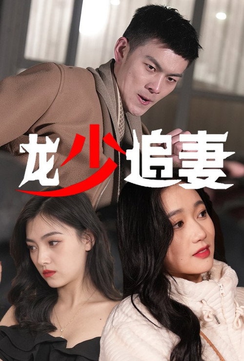 龙少追妻电影海报