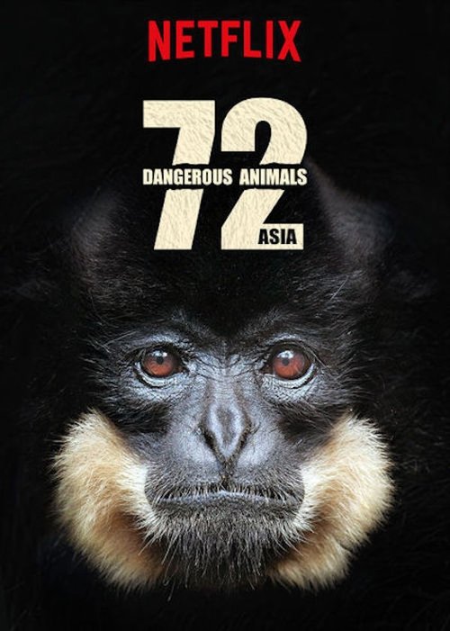 Poster of 72 animales peligrosos: Asia