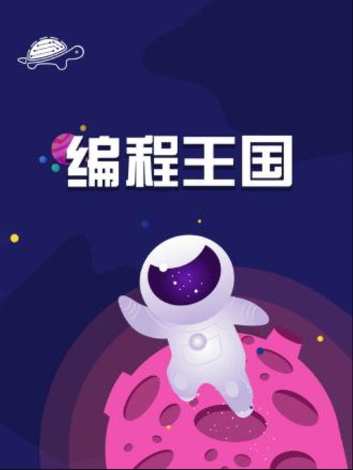 编程王国电影海报