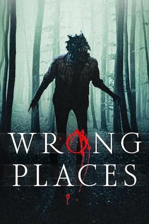 Wrong Places movie poster